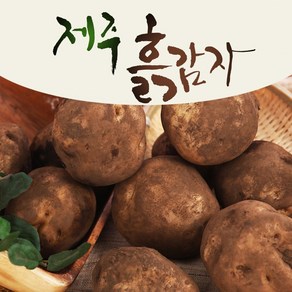 25년 타박타박 제주 구좌 햇 감자, 1박스, 10kg(대)