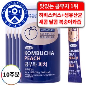 연세생활건강 RKR 진짜 맛있는 17종 유산균 혼합 콤부차 피치복숭아, 5g, 14개입, 5개, 5g