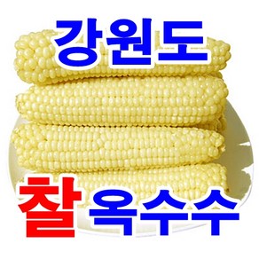 우리네농산 강원도 정선 냉동 옥수수 20개 미백 찰옥수수 수확후 일체의 첨가물 없이 찐후 급냉하여 년중 판매합니다, 1박스