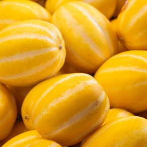 달콤한 햇 성주 꿀 참외 10KG 당일발송, 랜덤과, 1개
