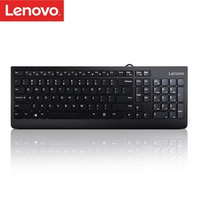 Lenovo 300 USB키보드 Keyboad 벌크포장 GX30M39678 SK8823, 단품, 단품, 제조사축