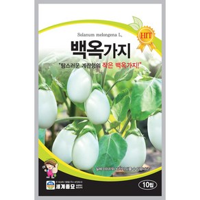 백옥가지 10립 / 가지 씨앗 종자 텃밭키우기 채소키우기, 1개