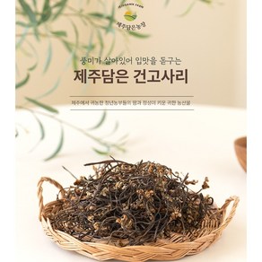 제주담은농장 한라산 건고사리, 300g, 1개