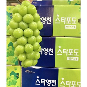 허니삼구 망고맛포도 당도보장 특품 프리미엄 샤인머스켓 2KG 4KG, 특품2kg(2~3송이), 1박스