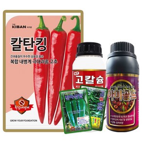 칼탄킹 고추씨앗 1200립 고추 씨 종자 더기반, 1개