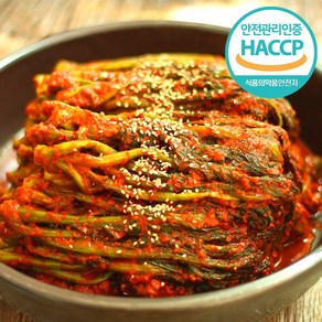 [HACCP] 특급비법양념 당일제조 여수 돌산 갓김치, 1박스, 2kg