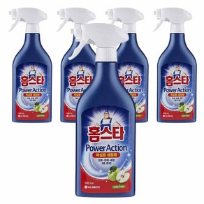 홈스타파워액션 욕실용 세정제, 500ml, 5개