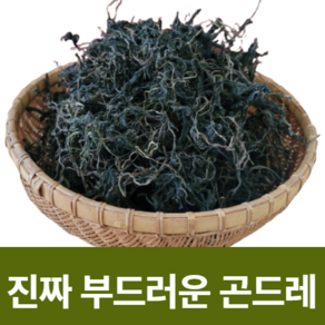 정선이장님네 건 곤드레 산 나물 국산 정선 산지직송, 100g, 1개