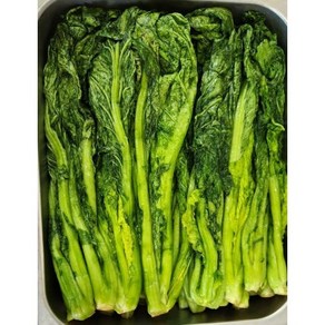 영자네여수갓 당일제조 여수돌산갓 여수절임갓 [원산지:국산(전라남도 여수시)], 3kg, 1박스