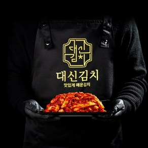 대신김치 대구실비김치 맛있게 매운 겉절이 2kg 1단계 맛있게 매운맛, 1kg, 2개