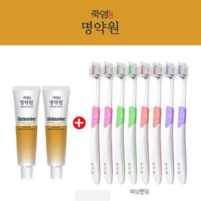 명약원 프리미엄 잇몸&시린이케어 글루타사민 칫솔세트 (40g x2 + 잇몸칫솔8개), 1개