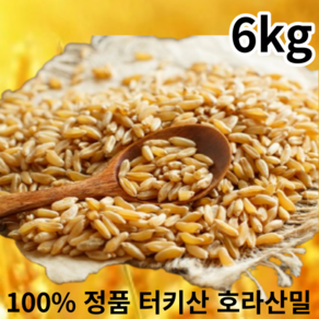 호라산밀 터키산 2kg 4kg 6kg 10kg 당뇨에좋은 슈퍼곡물 셀레늄 풍부한 당뇨 쌀, 1개