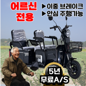 Ezybike 쉬운조작 세발전기자전거 어르신 전동 자토바이 출퇴근 스쿠터