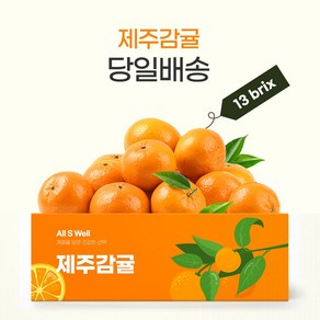 [특품] 프리미엄 제주 감귤 [로얄과] S-M, 1박스, 노지감귤 3kg