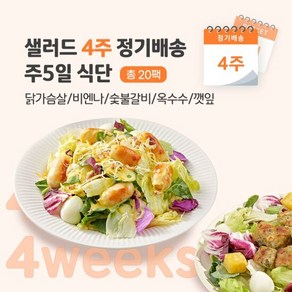 샐러드 4주 정기배송 주 5일 (닭+비엔나+숯불+옥수수+깻잎), 230g, 20개