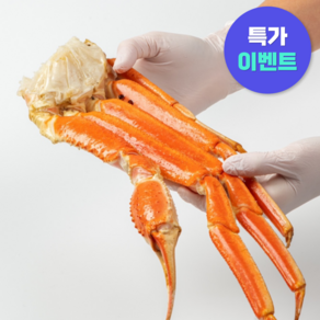 대게 섹션 4L 러시아대게 스노우크랩 자숙 박달대게, 1개, 5kg (13~14쪽)