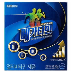 메가타민 800mg x 60정 x 2개입, 2개