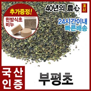 자애인 국산 부평초 1200g 개구리밥 경북영천, 1.2kg, 1개