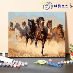 티류으스[국내 히트 상품] 명화 말그림 DIY 유화 그리기 세트 풍수 캔버스형 장식품 선물용 50x40cm, 1개