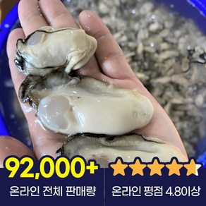 통영 굴 생굴 하프셀 석화, 1개, 생굴(중)2kg