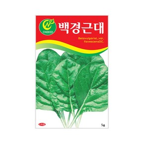 (CN) 백경근대 씨앗 (5g), 1개