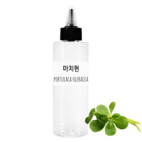 [더위치] 쇠비름추출물 100ml 마치현추출물 Potulaca Oleacea Extact, 1개