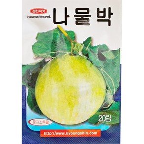 박씨앗 식용박 나물박 종자, 1개