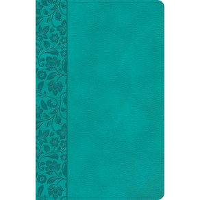 (영문도서) NASB Lage Pint Pesonal Size Refeence Bible Teal Leathetouch Imitation Leathe, Holman Bibles, English, 9781087757810