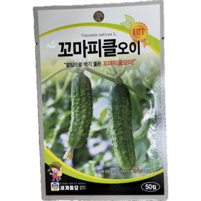 꼬마피클오이 50립 세계종묘 피클오이씨앗, 1개