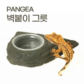 팡게아 밀림펫 [pangea]럭셔리 벽붙이 그릇, 1개