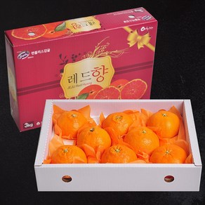 [푸르젠] 명절선물 제주 레드향 선물세트 3kg 5kg, 제주 레드향 3kg(13~16과), 1개