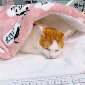 펫느 강아지 고양이 담요 이불 켄넬 방석