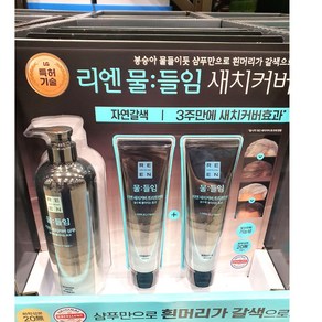 리엔 물들임 샴푸 450ml + 트리트먼트 150ml x 2, 1개