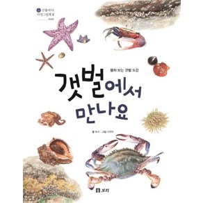 갯벌에서 만나요 : 펼쳐 보는 갯벌 도감, 보리, 보리 글/이원우 그림, 산들바다 자연그림책