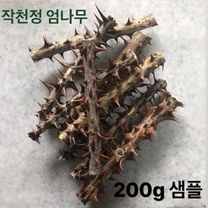 작천정엄나무 새순 돋기 전 재배한 명품 엄나무 500g 1.5kg 3kg, 1박스