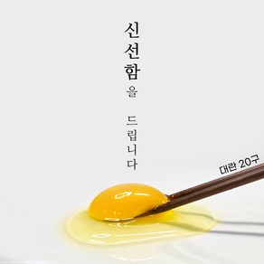 파머스테이블 HACCP 무항생제 신선한 계란 대란, 1개, 20구