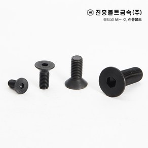 특강 접시머리 볼트 사라볼트 (6mm ~ 60mm), M3, 6mm, 1개