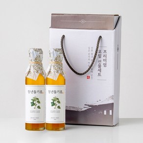 전라도청년 저온압착 청년들기름 180ml+청년들기름 180ml 명절선물세트, 2개, 180ml