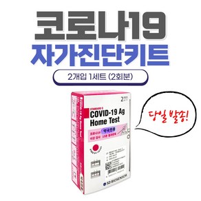 [당일발송]SD바이오센서 코로나19 자가 검사 키트 (2회분), 단품, 1개, 1개입