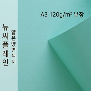 뉴씨플레인 종이문화 얇은 양면색지 120g A3 낱장 1매 No.17 옥색