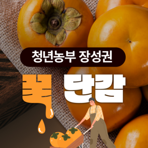 [당도보장] 고당도 진영단감 중소과 농가직송, 1박스, 5kg(26~28개) 중소과