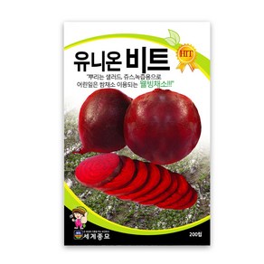 모칸도 세계 유니온비트 200립