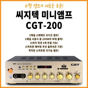 씨지텍 미니 앰프 200W, CGT-200