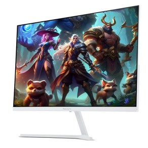 (포) 비트엠 Newsync P27FHD165 IPS 게이밍 HDR 180UP 화이트 무결점