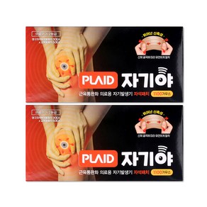 플레이드 자기야 자석패치 1100가우스, 단품, 2개, 3개입
