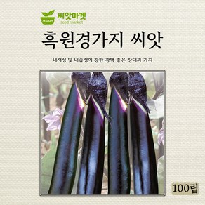 다농 흑원경가지 자색 씨앗 100립, 흑원경가지 100립, 1개