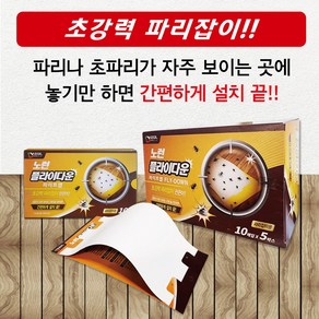 노런플라이다운 30매입 파리끈끈이 초파리트랩 화장실 파리 날파리 나방파리 퇴치, 3세트