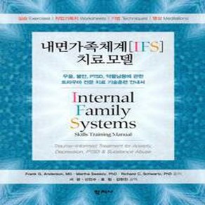 NSB9788999722158 새책-스테이책터 [내면가족체계(IFS) 치료모델]-우울 불안 PTSD 약물남용에 관한 트라우마 전문 치료 기술훈련, 내면가족체계(IFS) 치료모델