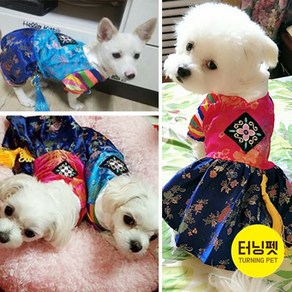 [터닝펫] [당일출고] 반려동물 설날 실크 한복세트/ 반려견묘 한복코스튬 (S- XL)+ 노리개 증정, 꽃소녀 춘향이+노리개, 1개