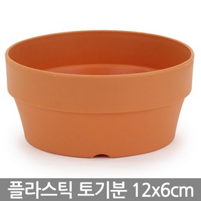 플라스틱 낮은 토분 - 화분 플분 토기분 다육화분 다육이화분 거실화분 베란다화분 실내화분 유치원 어린이집